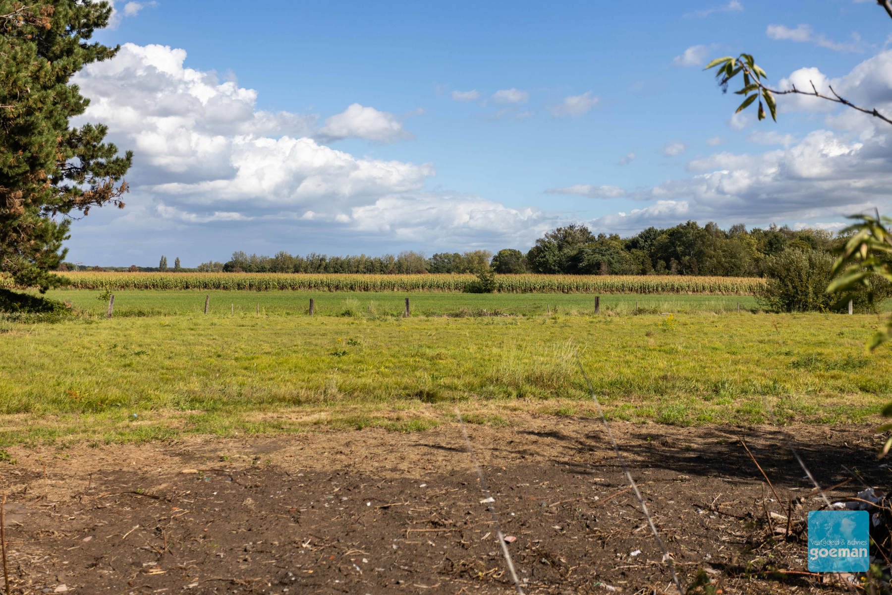 Land for sale in Berlare - photo 4