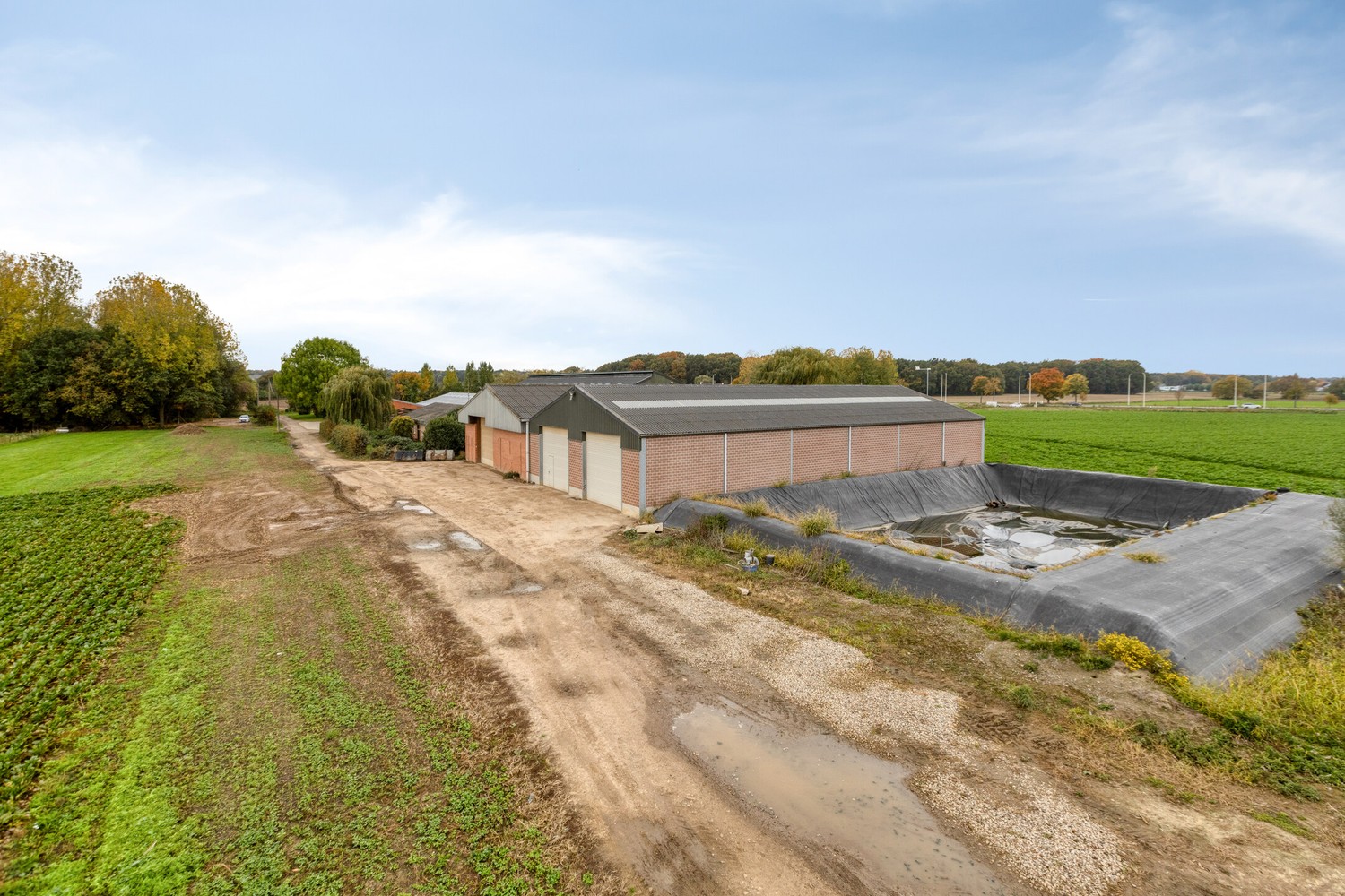 Prachtige boerderij op 1,4 hectare grond in Rekem/Lanaken - foto 5