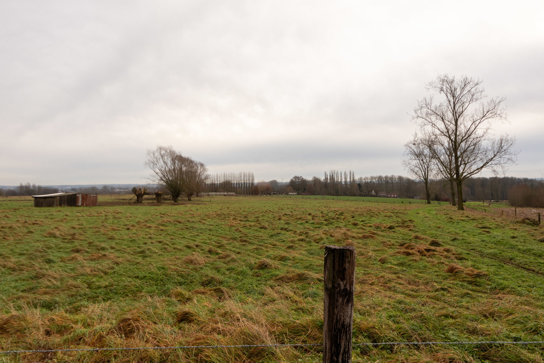 Prachtig perceel bouwgrond voor open bebouwing (11a) - foto 5