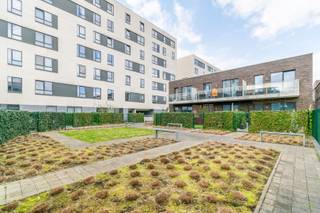 Een goed onderhouden, instapklaar appartement (ideaal als starterswoning of investering!) met oa. 1 slaapkamer, een aangenaam terras, binnenstaanplaats en kelder, welgelegen nabij openbaar vervoer en centrum te Halle (Nederhem)! Bestaande uit: Op de eerste verdieping: inkom met vestiaire, berging (met aansluitingen DK + WM), apart toilet, badkamer (douche, lavabo met meubel, handdoekdroger), leefruimte/eetplaats (23.40m²) met open en volledig ingerichte keuken (kookplaat, dampkap, oven, verlek, koelkast, vaatwasser), slaapkamer (11.02m²), aangenaam terras (8.77m²) - zuid gericht, doorlopend over de volledige breedte van het appartement). Verder: ondergrondse binnenstaanplaats, kelder, binnenplein, park nabij. Buitenschrijnwerk ALU dubbel glas - Individuele centrale verwarming op aardgas. EPC: 72 kWh/m² - UC: 23027-G-BH/2015/060/EP12962/A001/D01SD009 - label: A - Elektrische installatie volledig conform tot 30/09/2043! - Bruto bewoonbare oppervlakte: 53m² (app) - kadastraal inkomen (NG): 619 EUR - Momenteel verhuurd -<br />Nutsvoorzieningen: individuele tellers water, gas en elektriciteit. Geen lift in het gebouw - Gemeenschappelijke lasten: +- 56 EUR/maand. Stedenbouwkundige inlichtingen aanwezig: Vg/Igb/Gmo/VKr/Vv. Meer inlichtingen op : www.steenkoolstraat2-1.2.be !