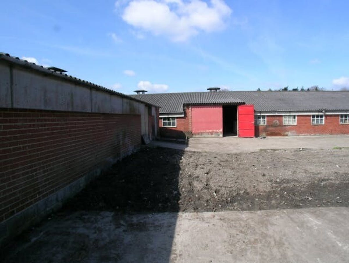 Opslagplaats (630 m²) te huur in Oostkamp - foto 4