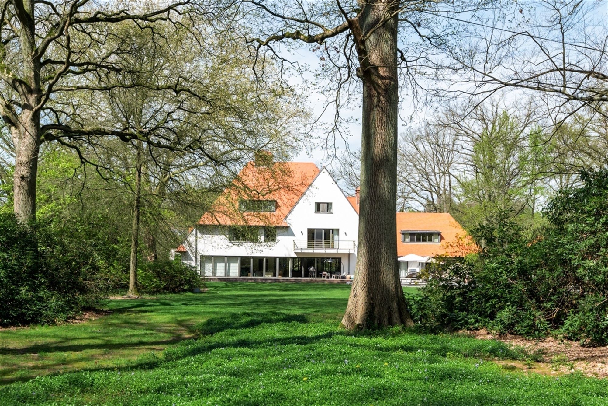 Very spacious villa on approx. 1.7 Ha adjacent to Peerdsbos - photo 1