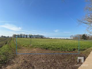 Terrain à vendre à Diest