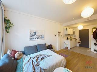 BRUSSEL – A14 - In het project "Manneken", op 20 meter van Manneken Pis, op een steenworp afstand van de Grote Markt en dicht bij het...