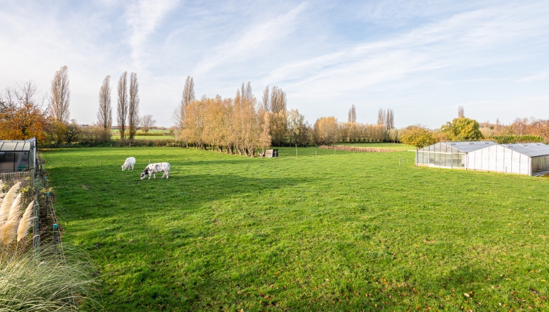Bouwgrond voor nieuw te bouwen villa in Landegem - foto 4
