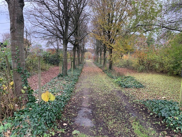 Bouwgrond van 1200m² in een oase van groen - foto 1