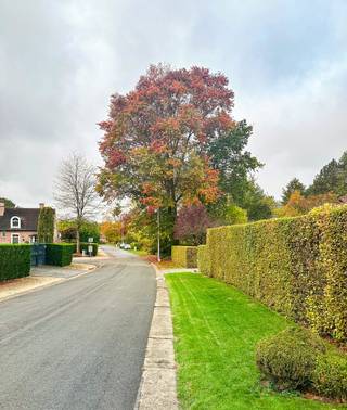 Deze prachtig gelegen bouwgrond, gelegen in een doodlopende straat, heeft een oppervlakte van 20are. Dit perceel met een breedte van maar liefst...