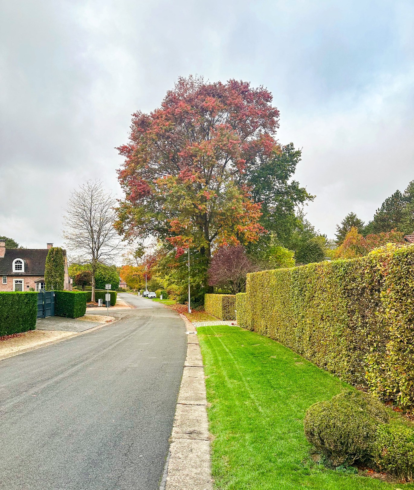 Prachtig perceel op unieke locatie! - foto 3