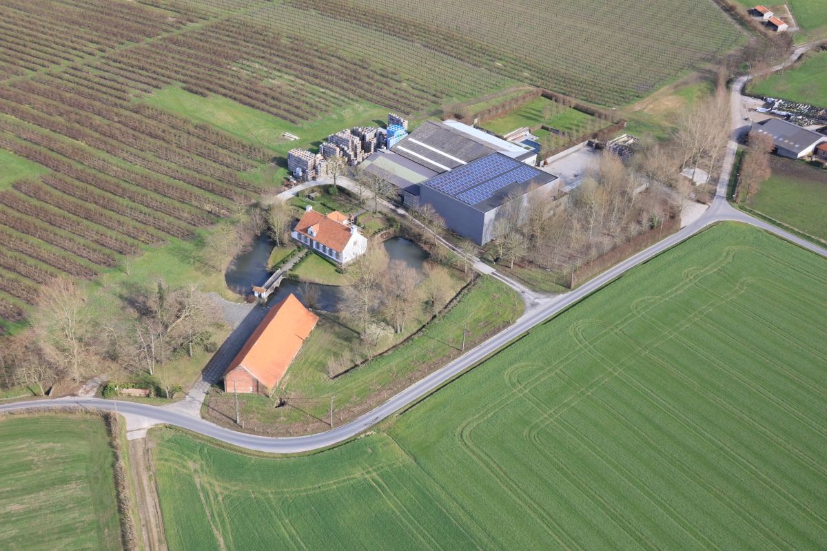 Fruitbedrijf met 2 woningen op circa 18 ha te koop te Kluisbergen - foto 4