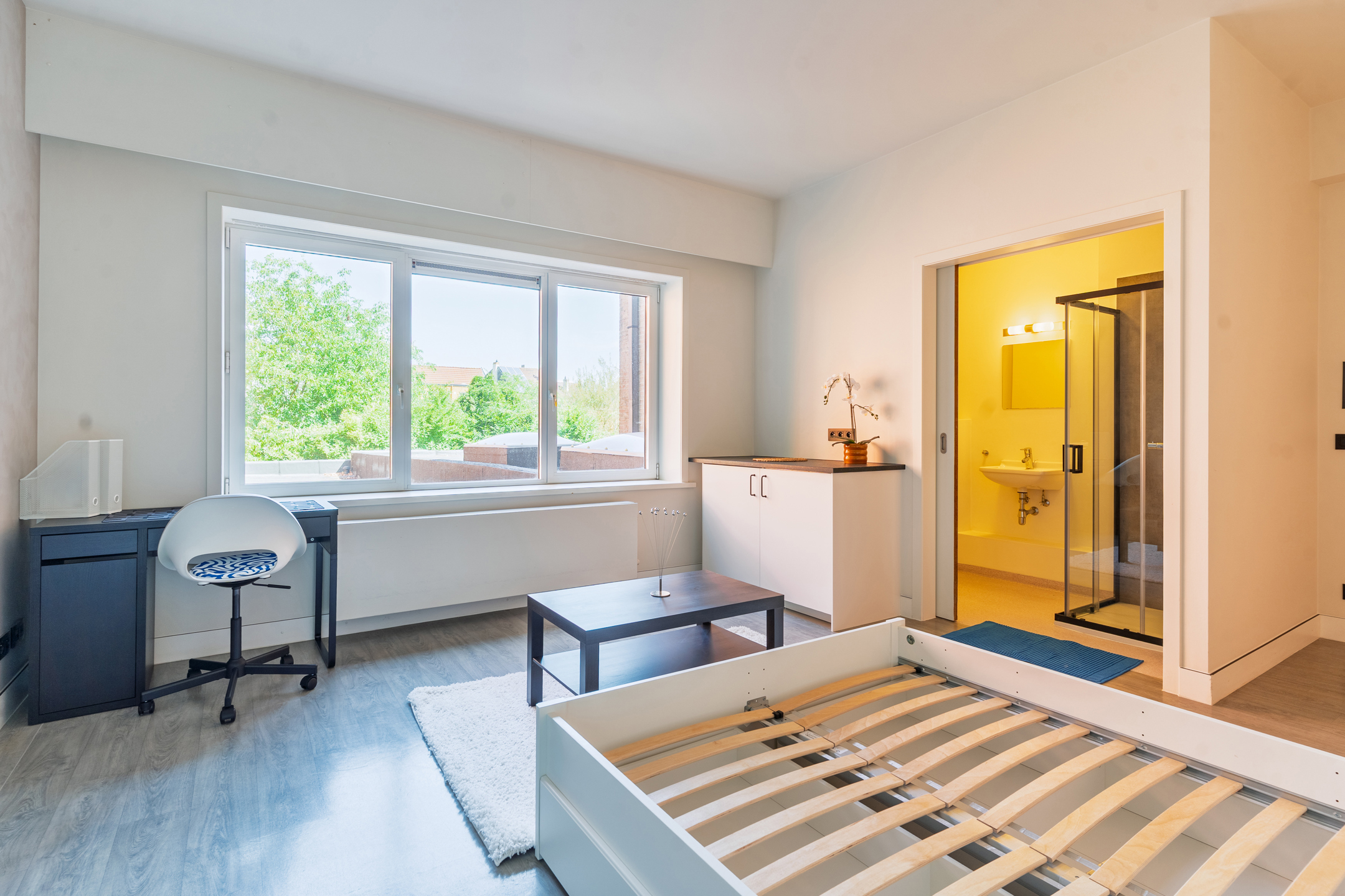 Gerenoveerde studentenkamers &amp; studio’s - foto 4