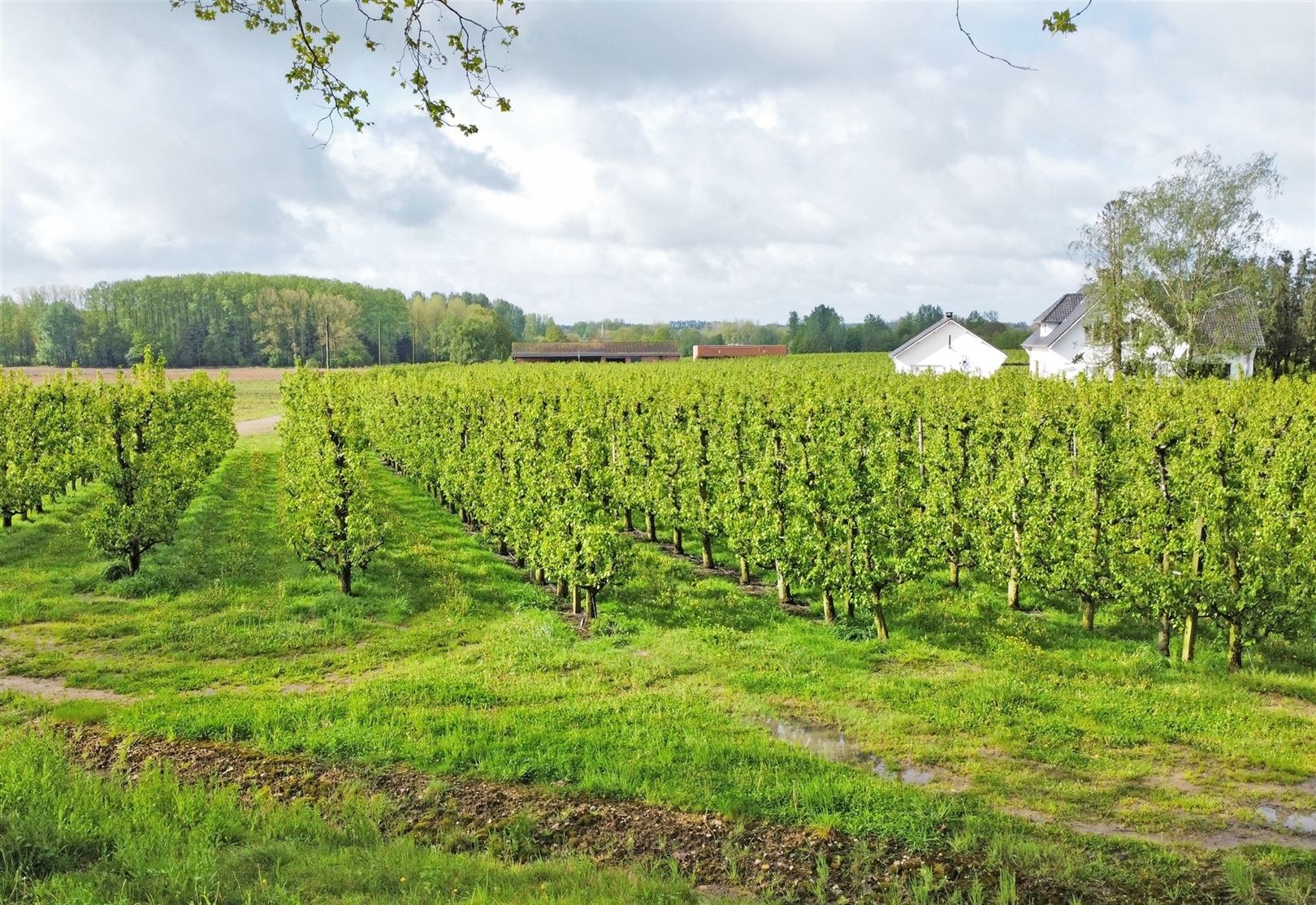 Exclusieve zuidwest georiënteerde bouwgrond in residentiële straat - foto 4