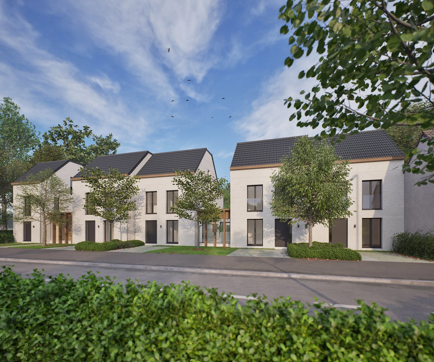 Projet à vendre à Schilde - photo 3