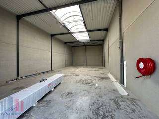 Nieuwbouw <strong>KMO-unit </strong>te huur met een oppervlakte van<strong> 208 m² en 2 privatieve parkeerplaatsen</strong>.<br /><br />De loods maakt deel uit van het gloednieuwe bedrijvenpark  “Apollo” en ligt op <strong>minder dan 2 km</strong> van het op- en afrittencomplex van de <strong>E17 te Waregem</strong> – een absolute <strong>toplocatie</strong> voor ondernemers die belang hechten aan bereikbaarheid in een bedrijvige regio.<br /><br />De bedrijfsunit (brandklasse C) werd kwalitatief en duurzaam opgebouwd met een staalstructuur en geïsoleerde betonpanelen. Met een <strong>vrije hoogte van 6 meter</strong> biedt het magazijn optimale opslag- en werkmogelijkheden.<br />Daarnaast is de unit uitgerust met tal van praktische voorzieningen, waaronder:
<ul>
	<li><span>Automatische sectionale poort (4 m breed x 4,2 m hoog)</span></li>
	<li><span>Aparte toegangsdeur met bovenlicht</span></li>
	<li><span>Lichtstraat met geïntegreerde RWA-koepel</span></li>
	<li><span>Slijtvaste polybetonvloer met draagvermogen van 1 ton/m²</span></li>
	<li><span>Sanitair</span></li>
	<li><span>Basisinstallatie elektriciteit</span></li>
	<li><span>Individuele regenwaterput van 15.000 liter</span></li>
</ul>
Deze veelzijdige bedrijfsruimte is uitermate geschikt voor <strong>opslag, distributie, productie, atelier- of ambachtelijke activiteiten</strong>.<br /><strong>Beschikbaar vanaf september 2026.</strong><br /><br />Contacteer <strong>PANORAMA B2B</strong> voor bijkomende (technische) inlichtingen, plannen of een vrijblijvend <strong>plaatsbezoek 056 222 256.</strong><br /> 