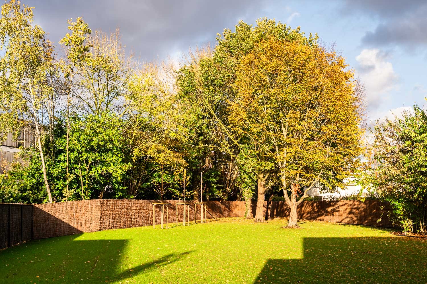 Moderne villa op groot perceel en groene omgeving nabij Gent - foto 5