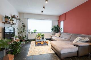 <strong>Charmante gerenoveerde gezinswoning</strong> te huur in het centrum van <strong>Hoogstraten.</strong><br /><br />Op een uitstekende locatie in Hoogstraten bevindt zich deze gerenoveerde en instapklare gezinswoning.<br /><br /><strong>De woning is als volgt ingedeeld:</strong><br />-inkom<br />-leefruimte met open keuken<br />-wasplaats<br />-toilet<br />-kelder<br /><br /><strong>1e verdieping:</strong><br />-2 ruime slaapkamers<br />--badkamer<br />-dressing<br />-bergzolder<br /><br />Laadpunt voor elektrische wagen aanwezig.<br />Buiten kan u genieten van een gezellige buitenruimte met tuinberging.<br /><br />De ligging is een absolute troef: winkels, horeca, scholen en openbaar vervoer bevinden zich op wandelafstand.