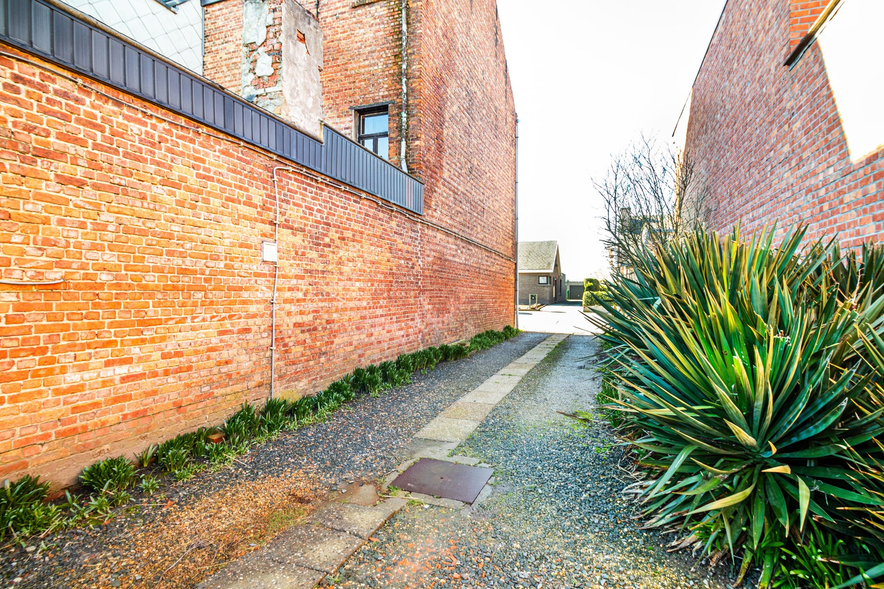 Renovatiewoning op 828 m² met potentieel in Duffel - foto 5