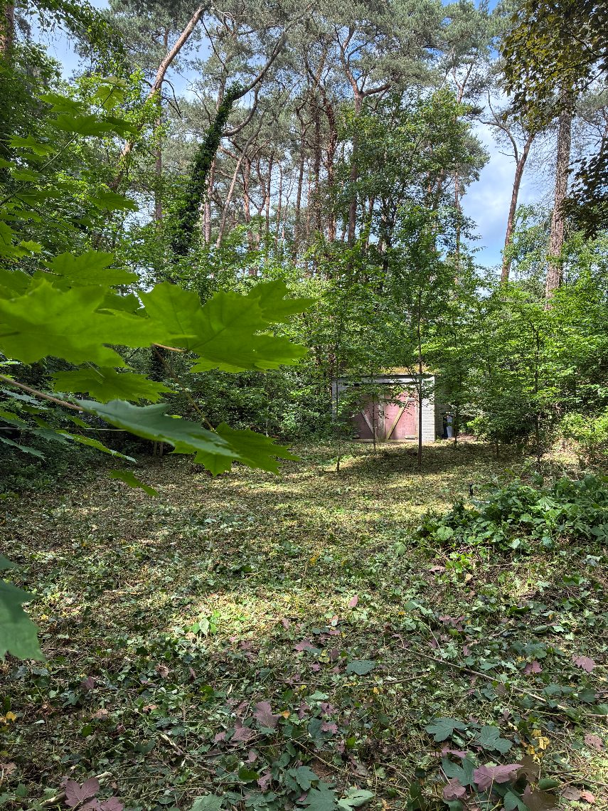 Terrain à vendre à Bonheiden - photo 2