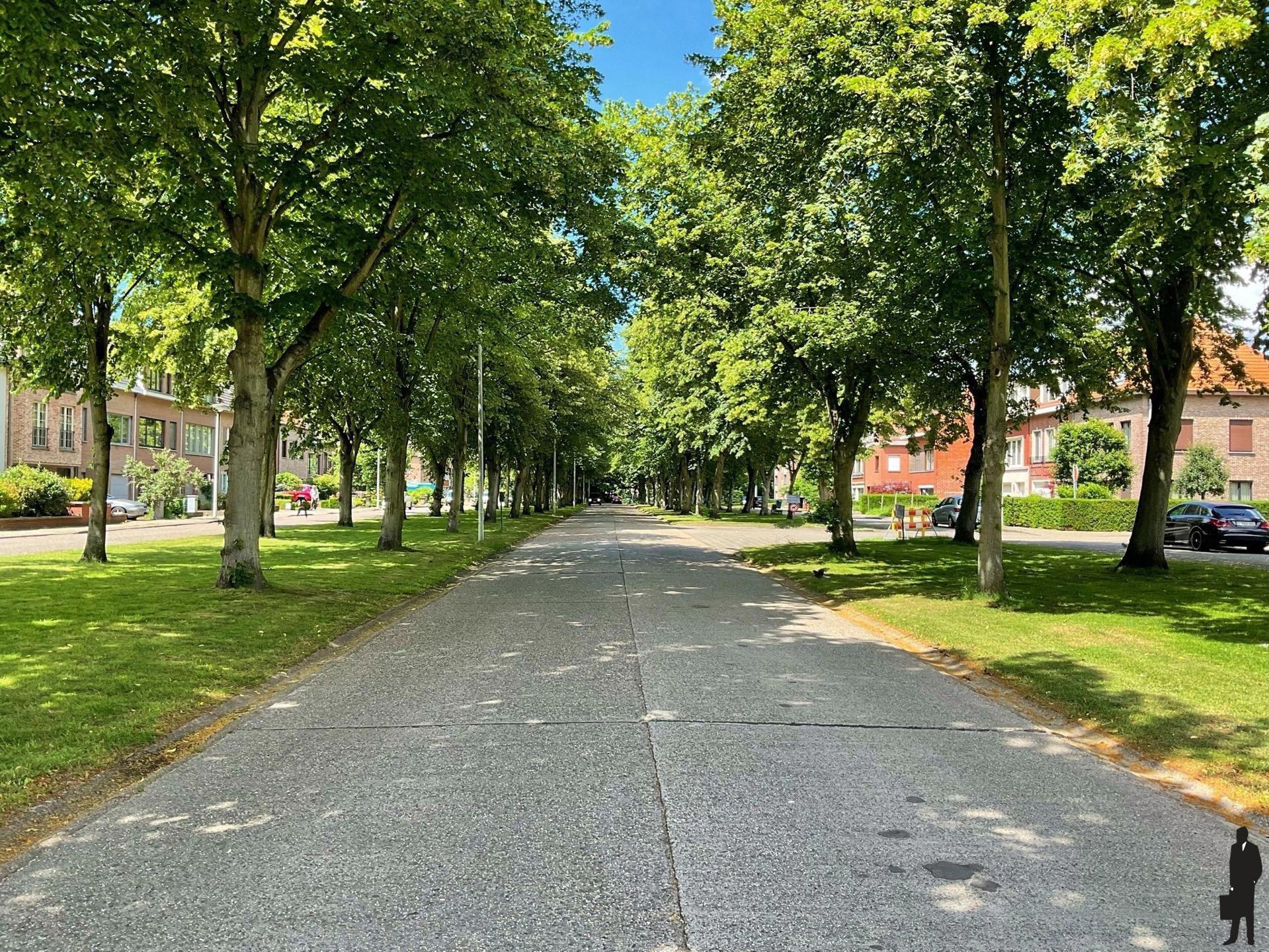 Terrain à vendre à Kapellen - photo 5