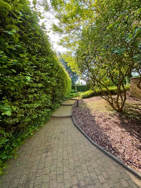 Huis te koop in Bunsbeek met 4 slaapkamers - foto 4