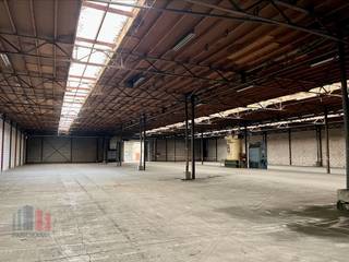 Deze goed gelegen opslagruimte aan de Antwerpseweg in Geel biedt veel potentieel voor bedrijven die op zoek zijn naar opslag- of werkruimte in de regio. Het magazijn van +/- 2.470 m², met een vrije hoogte van 6m, heeft een industriële uitstraling en is geschikt voor diverse toepassingen, zoals productie, opslag of distributie. De aanwezigheid van een sectionale poort maakt het makkelijk om goederen in- en uit te laden. <br />Door de strategische ligging nabij de snelweg E313 is de bereikbaarheid uitstekend, wat het ideaal maakt voor logistiek of distributie. <br />Provisie voor gemeenschappelijke kosten: €500/maand<br />Contacteer PANORAMA B2B voor bijkomende inlichtingen of een vrijblijvend plaatsbezoek 011 220 500.