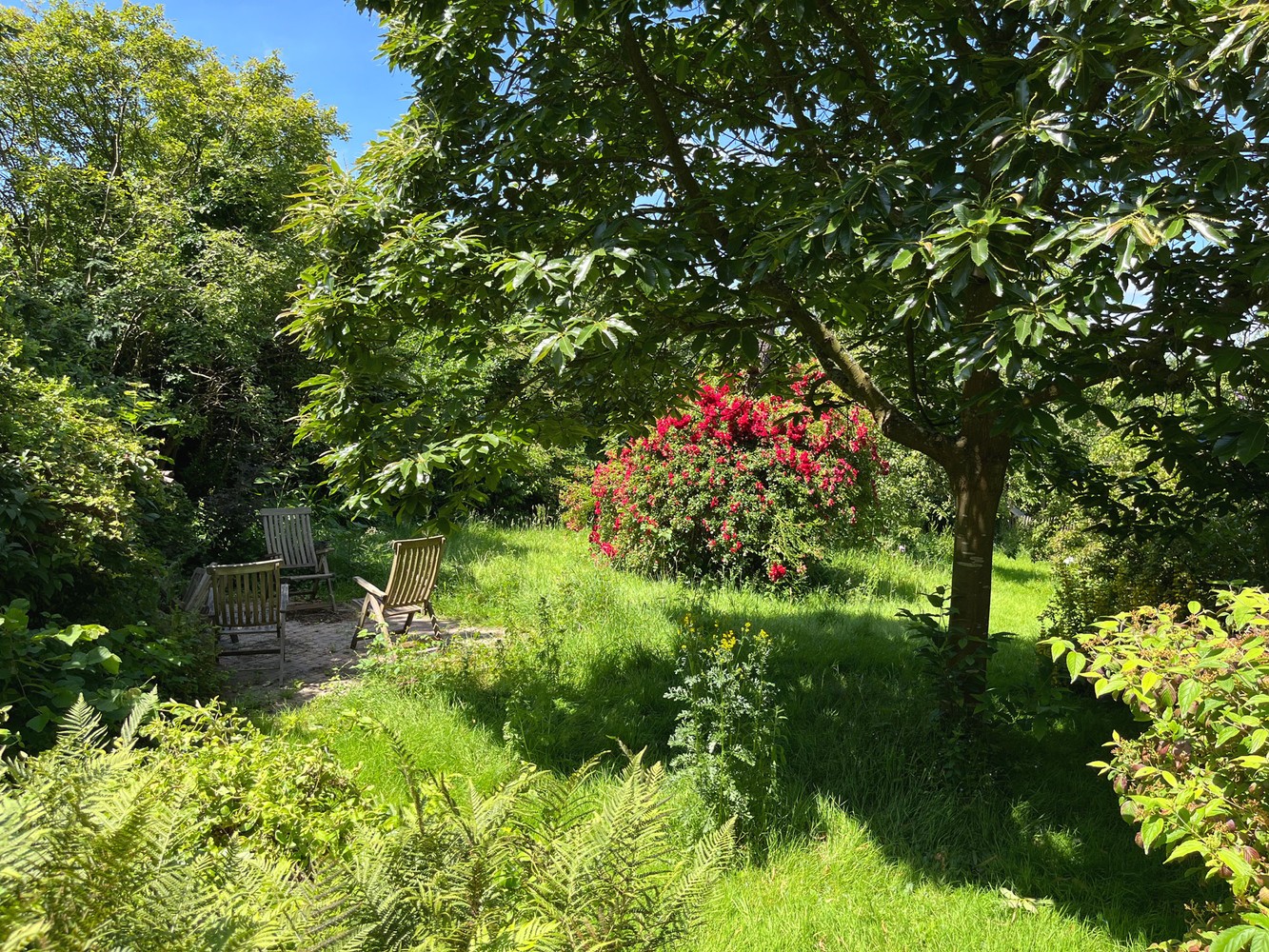 Maison à vendre à Hoegaarden avec 6 chambres - photo 3