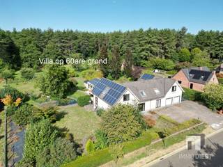 House for sale in Tessenderlo-Ham