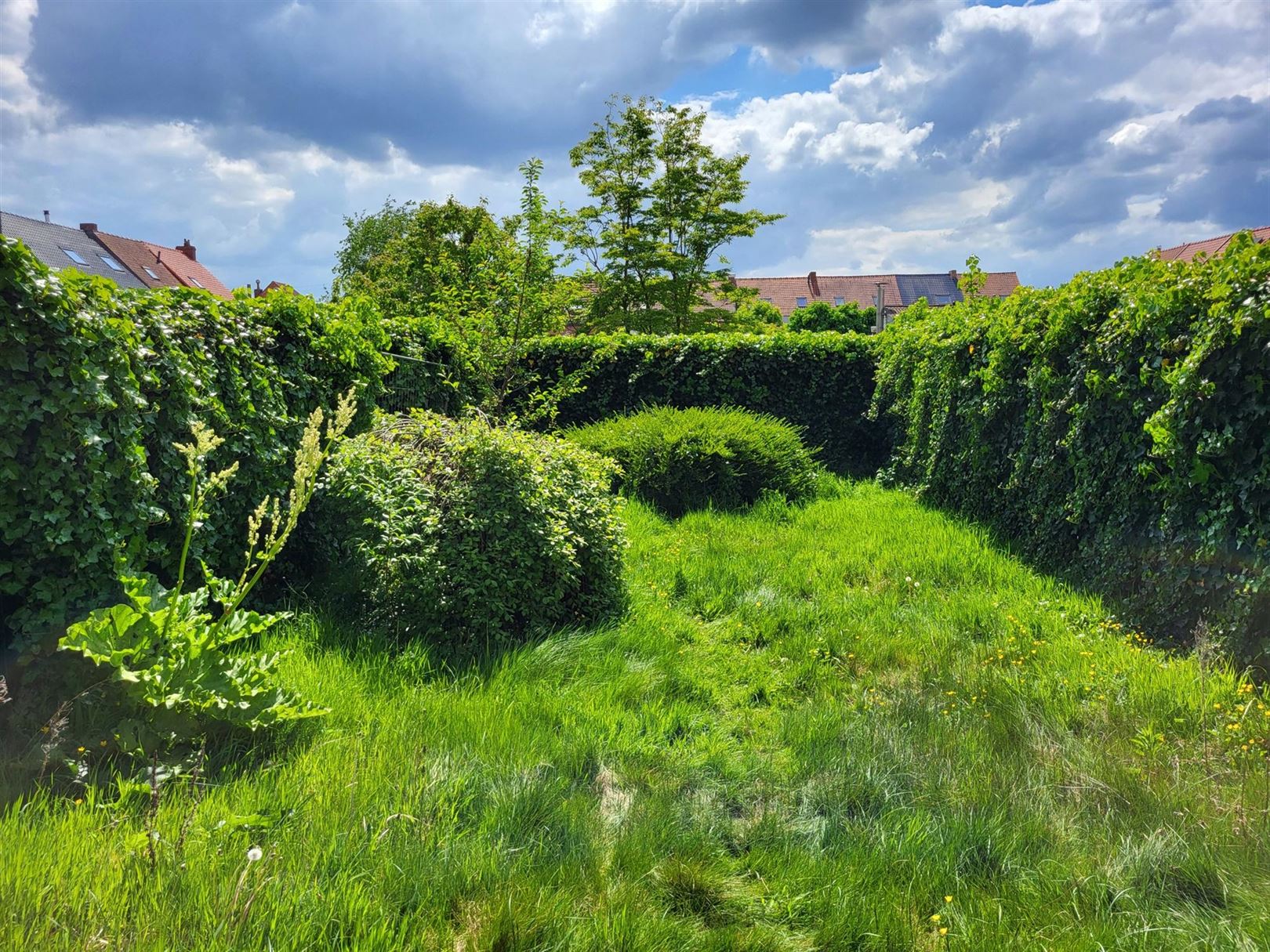 Bouwgrond met goedgekeurde (bouw) omgevingsvergunning - foto 2