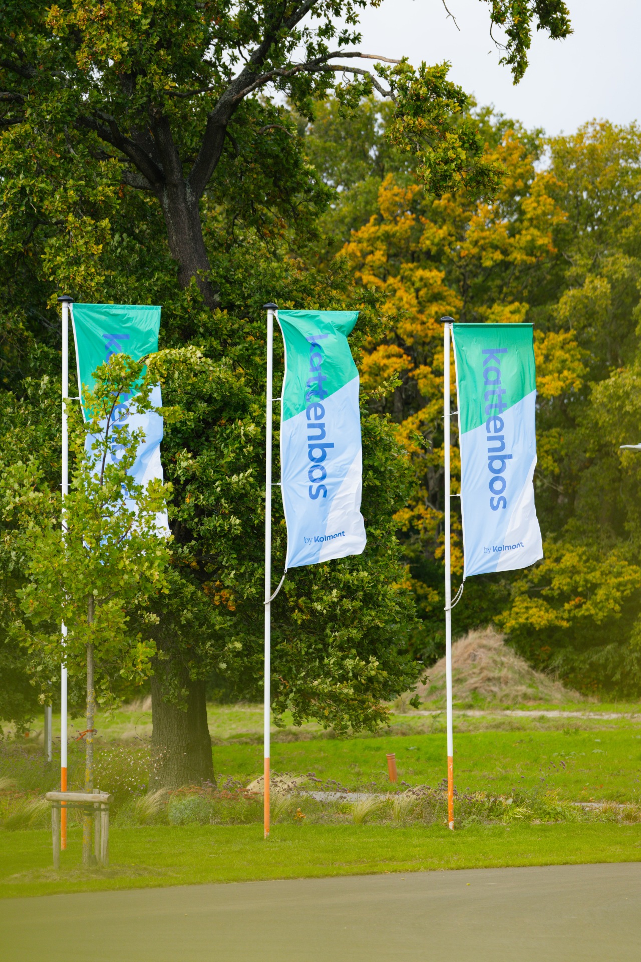 Grond te koop in Lommel - foto 1