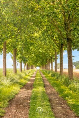 Te midden van een prachtig groen domein van ca. 3 hectare, bereikbaar via een lange private dreef, bevindt zich deze authentieke rustieke vierkantshoeve met uitzonderlijk veel charme en potentieel. De eigendom geniet van volledige rust en privacy, omringd door groene vergezichten, een eigen bos en een idyllische vijver die samen zorgen voor een uniek en sfeervol kader.<br /><br />Deze karaktervolle hoeve vormt de ideale plek voor wie op zoek is naar landelijk wonen met ruimte, authenticiteit en tal van mogelijkheden. Dankzij de combinatie van wooncomfort, royale bijgebouwen en het uitgestrekte perceel leent het geheel zich perfect voor paardenliefhebbers of een combinatie wonen-werken.<br /><br />Het woonhuis is functioneel ingedeeld en beschikt op het gelijkvloers over een inkomhal, gastentoilet, technische ruimte, keuken met eetplaats en een gezellige leefruimte met zicht op het omliggende groen. Op de eerste verdieping bevinden zich vier volwaardige slaapkamers en twee badkamers. De tweede verdieping biedt bijkomende mogelijkheden dankzij de ruime zolderverdieping.<br /><br />Verder beschikt het domein over een imposante schuur met authentieke eiken balkenstructuur, diverse opslagruimtes en paardenstallen. De charmante binnenkoer vormt het hart van de hoeve en versterkt het unieke karakter van deze eigendom.<br /><br />Een uitzonderlijke opportuniteit voor wie droomt van een karaktervolle hoeve op een absolute toplocatie in alle rust en natuur.