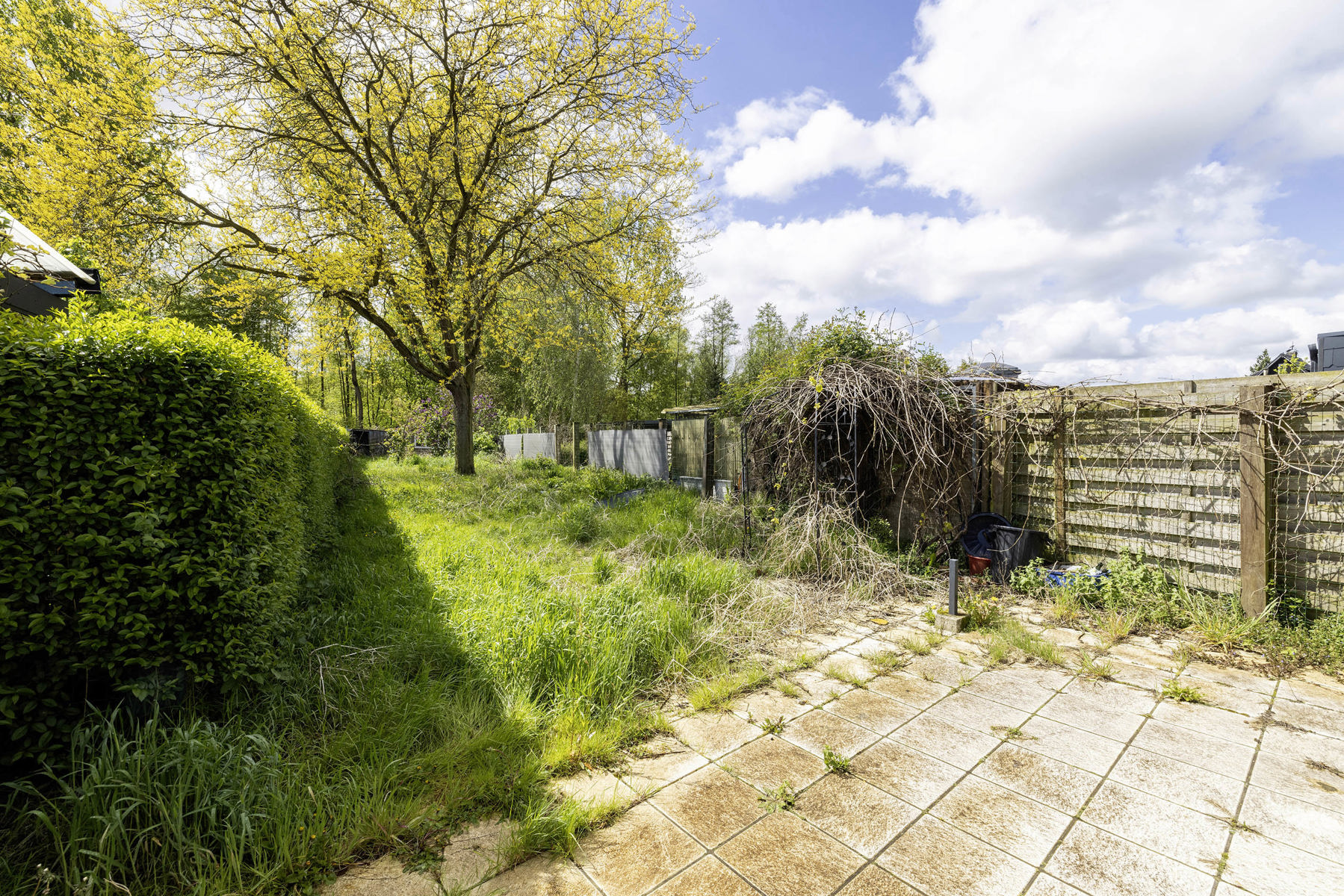 Te renoveren woning op een perceel van 509m² - foto 4