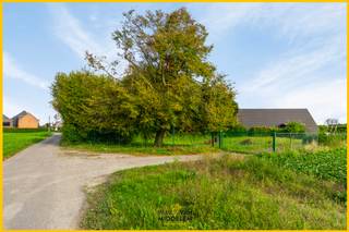 Commercial for sale in Londerzeel