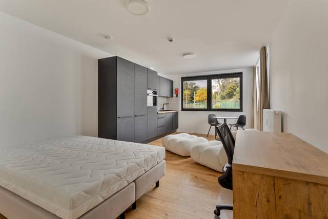 Project te koop in Leuven