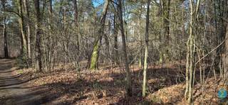 Land for sale in Retie