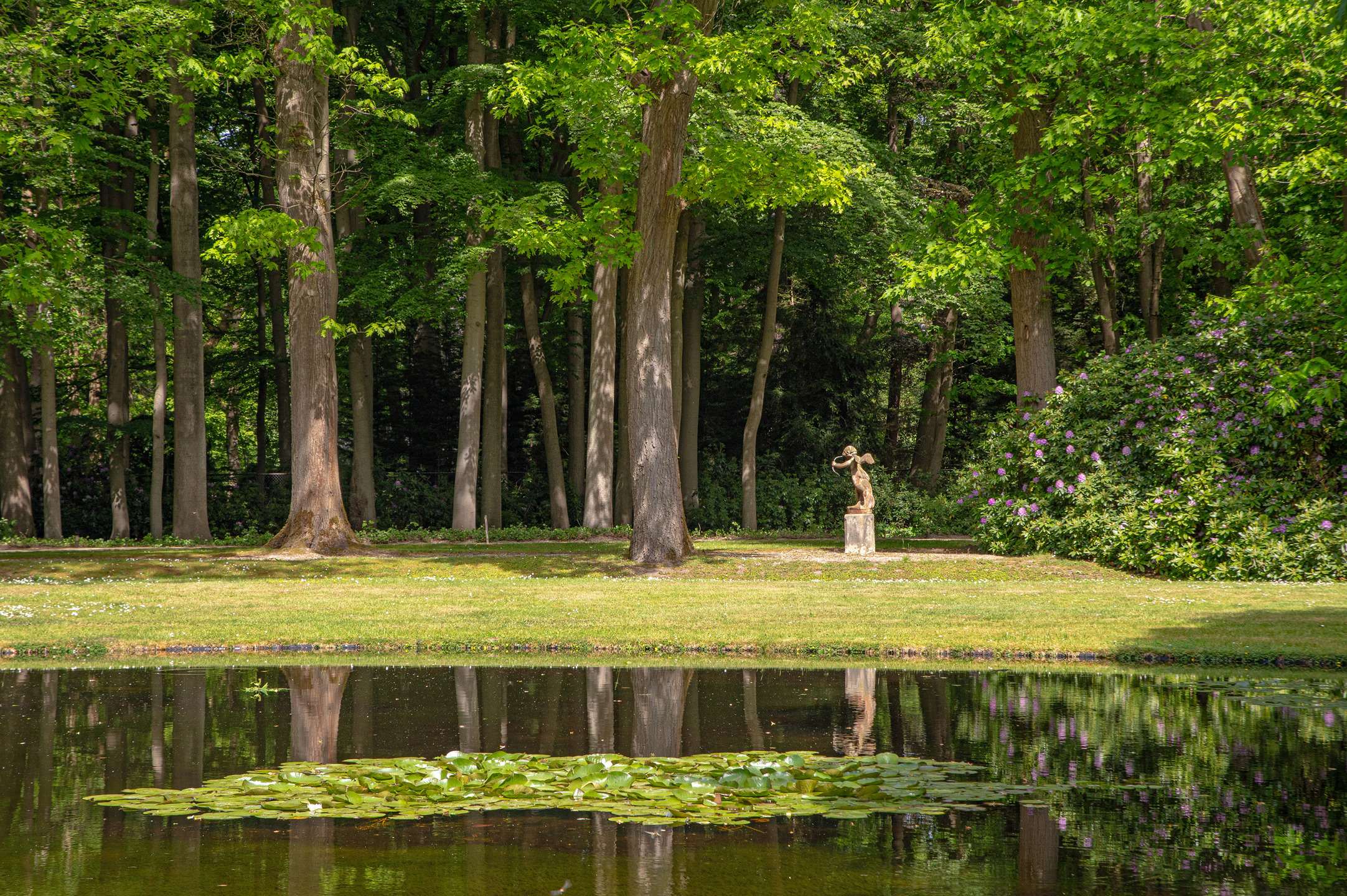 Uitzonderlijk exclusief luxueus landgoed middenin een prachtige natuur - foto 4