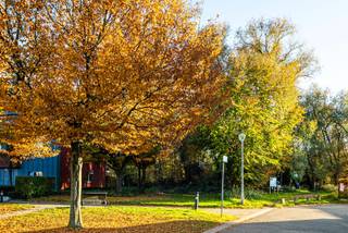 In een rustige, groene en bijzonder aangename woonwijk, vlak bij de verbindingsas richting Rumst en Reet, ontdek je een woning die meer is dan een optelsom van ruimtes. Dit is een thuis waar sfeer, licht en elegantie de hoofdrol spelen, en waar elke verdieping je opnieuw verrast.