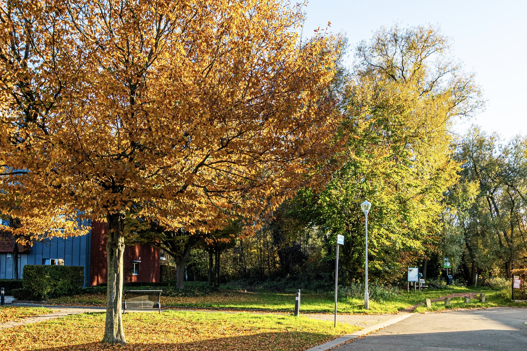 Instapklare, ruime woning met uniek groen uitzicht - foto 2