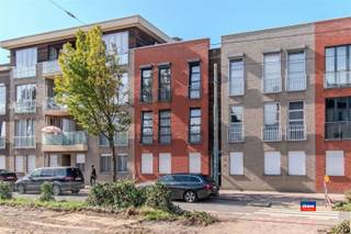 <p><span>HOBOKEN | RESIDENTIE HOGE BEUK | INSTAPKLAAR APPARTEMENT (2V) MET TWEE SLAAPKAMERS, GARAGESTAANPLAATS EN TERRAS | EPC B</span></p><p><span>Indeling als volgt: inkomhal - leefruimte met open, geïnstalleerde keuken - terras - nachthal met toilet en wasplaats - badkamer met ligbad/douche en lavabomeubel - twee slaapkamers.</span></p><p><span>Inclusief garagestaanplaats (nummer 14) in ondergrondse parkeergarage. </span></p><p><span>Nieuwe gasketel en elektrische rolluiken aan de slaapkamers. Elektrische installatie conform het AREI. </span></p><p><span>Dit appartement is gelegen op de tweede verdieping van klein gebouw zonder lift (bouwjaar 2008). </span></p>