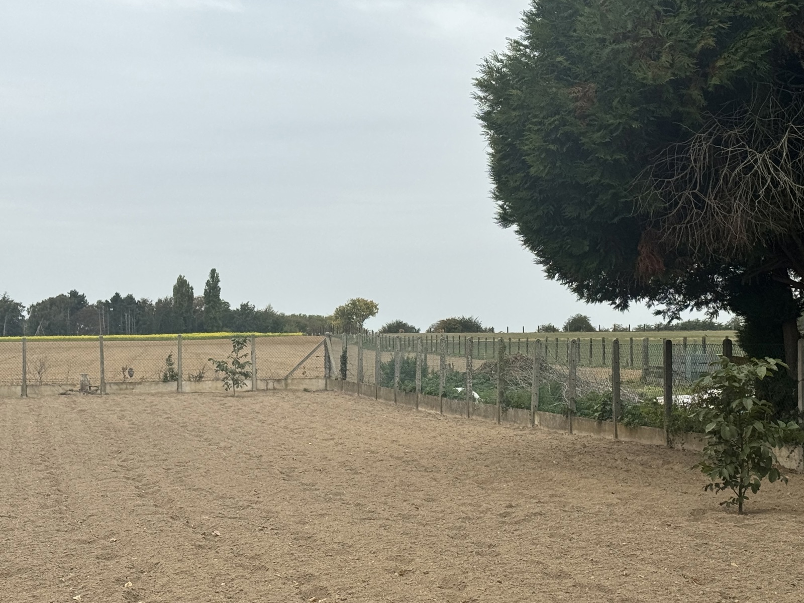 Huis te koop in Boutersem met 3 slaapkamers - foto 4