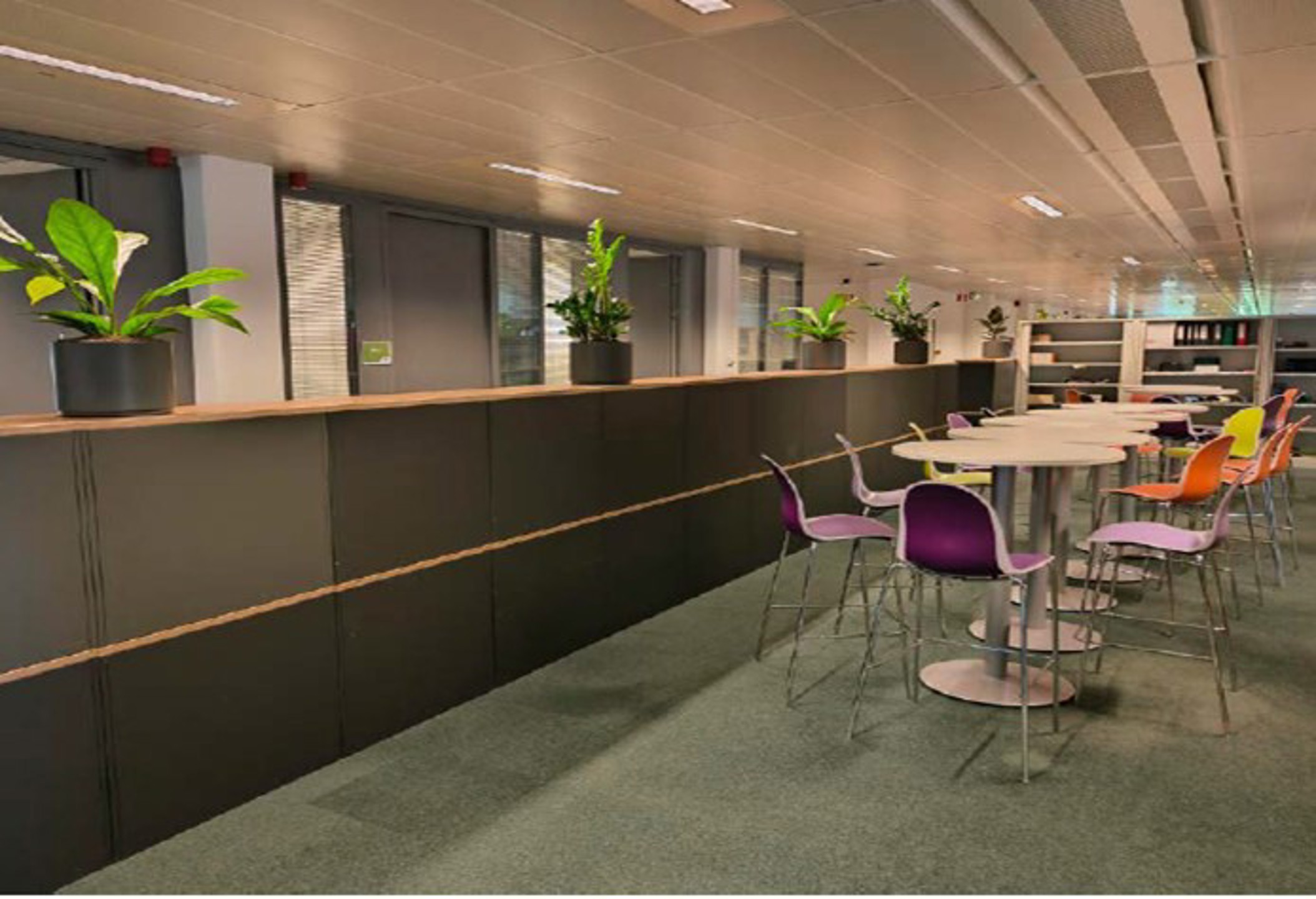 Commercial for rent in Antwerp - photo 4