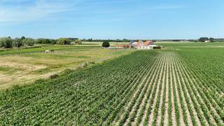 Schitterend gelegen hoeve met bijgebouwen op een idyllische locatie temidden de polders van Knokke-Heist. Een eigendom gelegen op iets meer als 4...