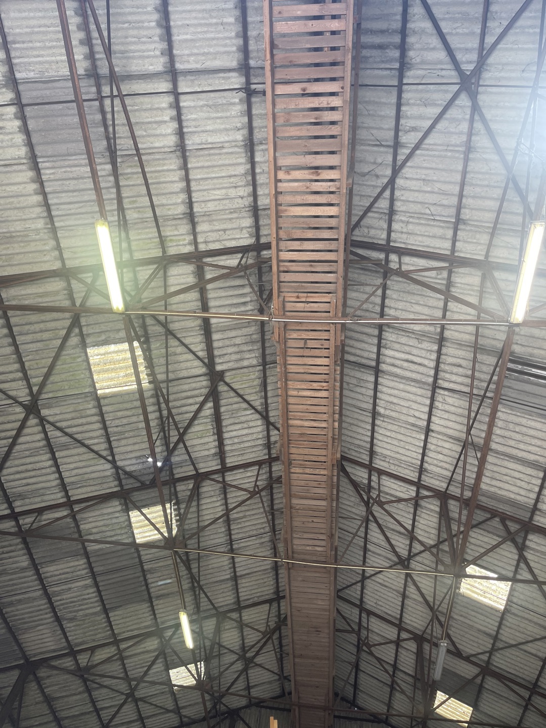 Commercial for sale in Fleurus - photo 4