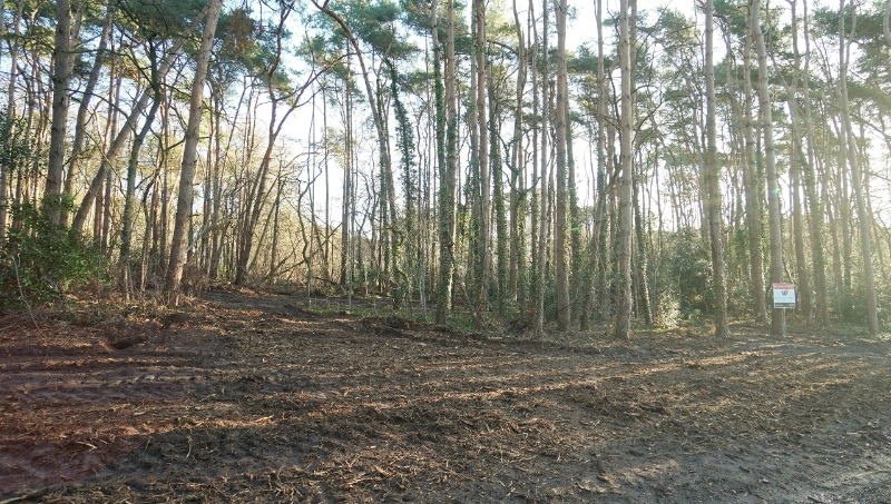 Residentieel gelegen bouwgrond van 31 are met 37 are bosgrond nabij golf- en meerdomein - foto 4