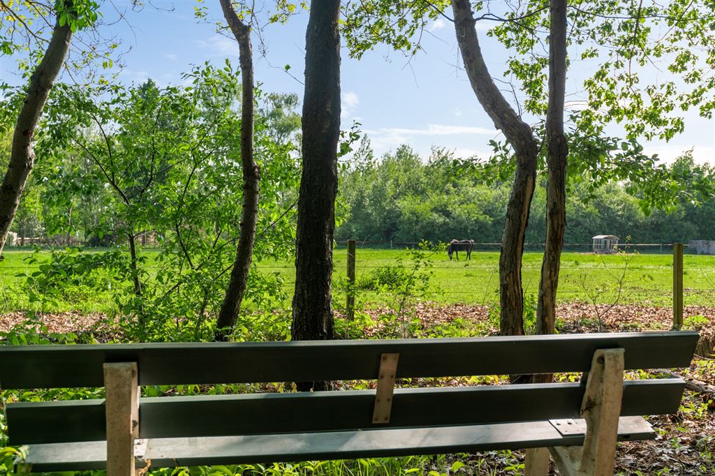 Villa met een unieke ligging op ca. 3.700m² te Halle-Zoersel - foto 4