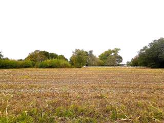 Ter hoogte van Goorakker 19 in Geel vinden we dit ruime perceel bouwgrond terug. Dankzij deze gunstige ligging zijn zowel de omliggende gemeenten...