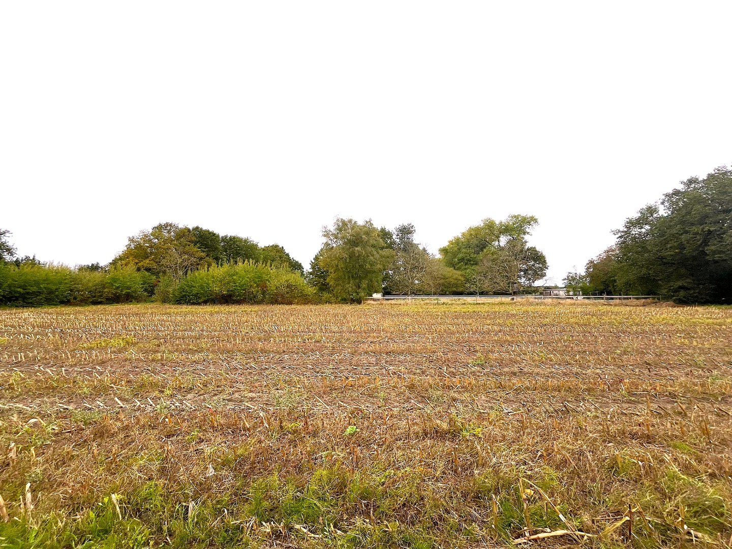 Unieke bouwgrond van 7 are 35 ca. voor open bebouwing te Geel - foto 2