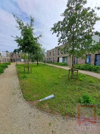 House for rent in Geel