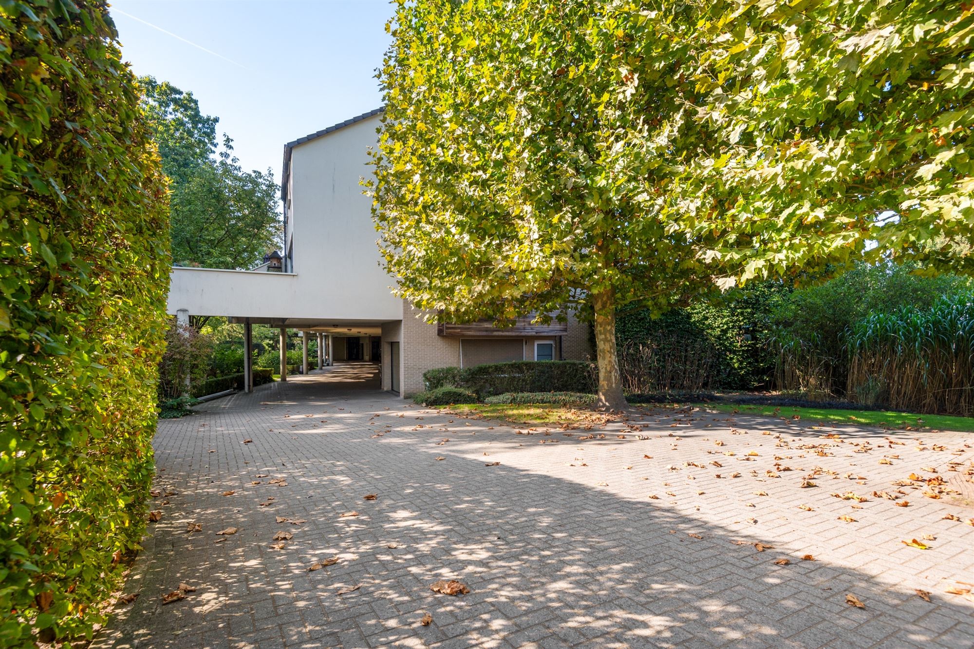 Huis - foto 3