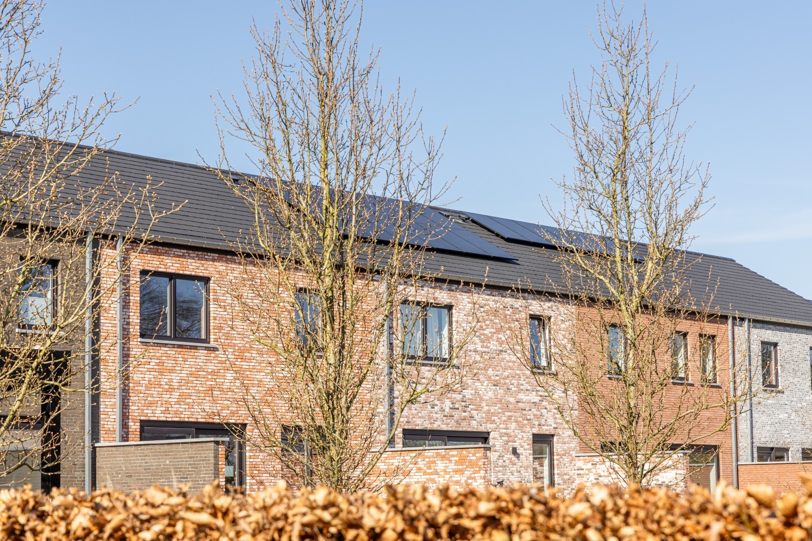 Project te koop in Kortrijk - foto 4