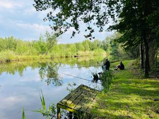 Droom je van je eigen stukje natuur, ver weg van de drukte? Ontdek dit prachtig gelegen perceel natuurgrond in Oud-Turnhout, waar rust, groen en water samenkomen tot een unieke buitenkans.
Het terrein ligt verscholen tussen het groen en grenst aan het kanaal Dessel - Schoten. Je geniet hier in alle privacy van rust en natuur: ideaal voor wie wil onthaasten of op zoek is naar een stille plek voor vissen, zwemmen of natuurobservatie. De fijne ligging aan de vaart is een ideaal uitgangspunt voor mooie fietstochten in de regio.
Het perceel omvat drie vijvers. De grootste vijver beschikt over een groot visbestand : graskarper, schubkarper, paling, snoek, lauw, voorn.
De tweede vijver doet dienst als kweekvijver, met ook hier een divers visbestand.
De derde vijver, is een poel, bestemd voor eenden en amfibieën.
Het perceel is voorzien van een elektriciteitsaansluiting, en toilet.
Bovendien is het domein grotendeels omheind, wat zorgt voor extra veiligheid en privacy.
Dankzij de oriëntatie is het perceel perfect voor zonliefhebbers. De avondzon over het water creëert een idyllische sfeer.
In de zomer zorgt het water voor heerlijke verkoeling tijdens zwempartijtjes. Ook in de herfst en in de winter is het heerlijk vertoeven met marshmallows op het vuur en knallende popcorn.
Een klein paradijsje van rust in deze hectische wereld.
Het terrein is geschikt voor dagrecreatie, het is niet toegestaan een chalet te plaatsen.
We verkopen, omdat de afstand voor ons net iets te groot is om er voldoende gebruik van te maken.
Kadastraal perceelnummer: C38b4, zie kaart.
Oppervlakte: 8.306 m²
Bestemming: Natuurgrond
KI : NVT
Toegankelijk vanaf de openbare weg.
Voor meer informatie bel 0486609157 of stuur een mail naar Tom.van.bogaert@telenet.be
Bezichtiging na afspraak