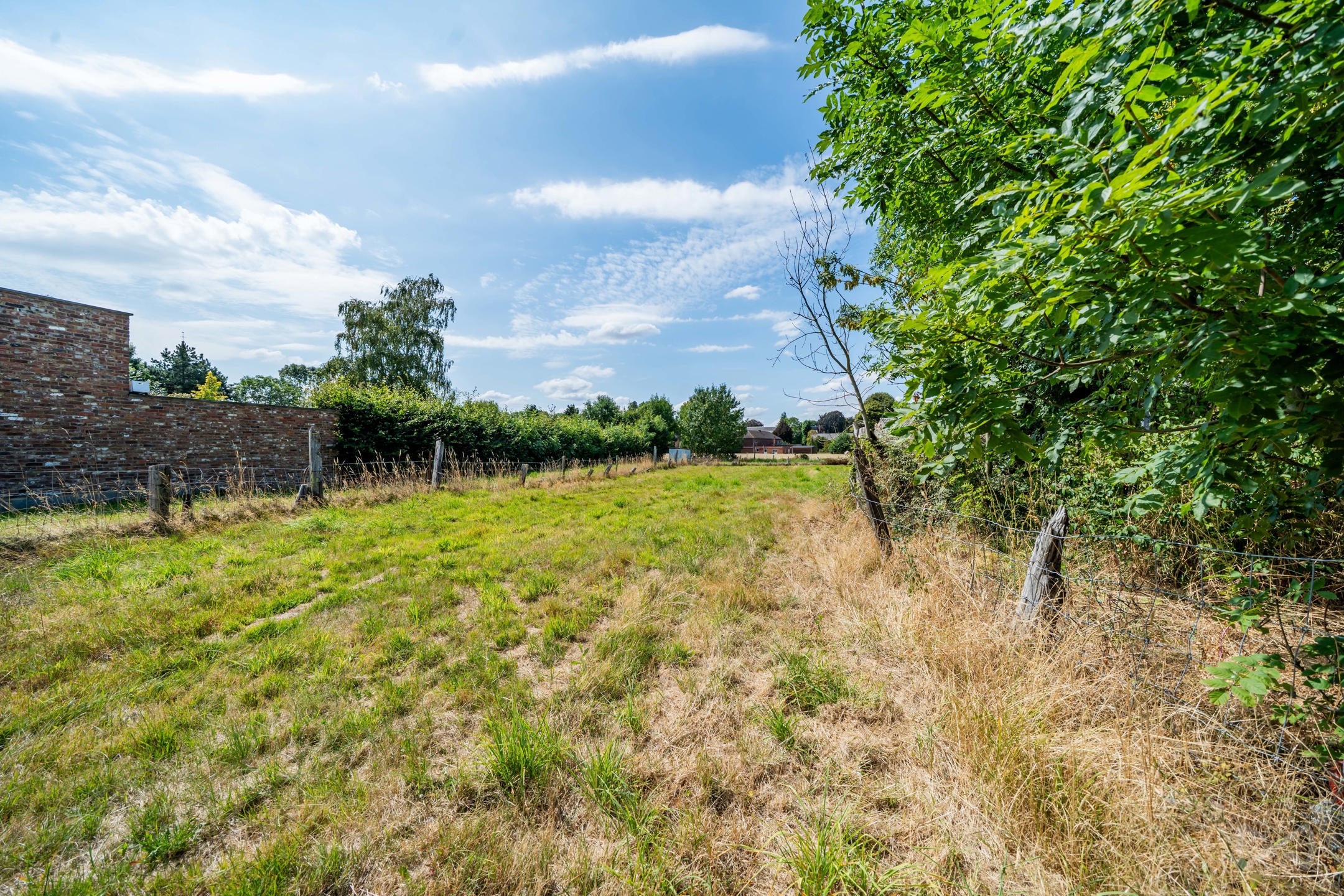 Land for sale in Cras-Avernas - photo 4